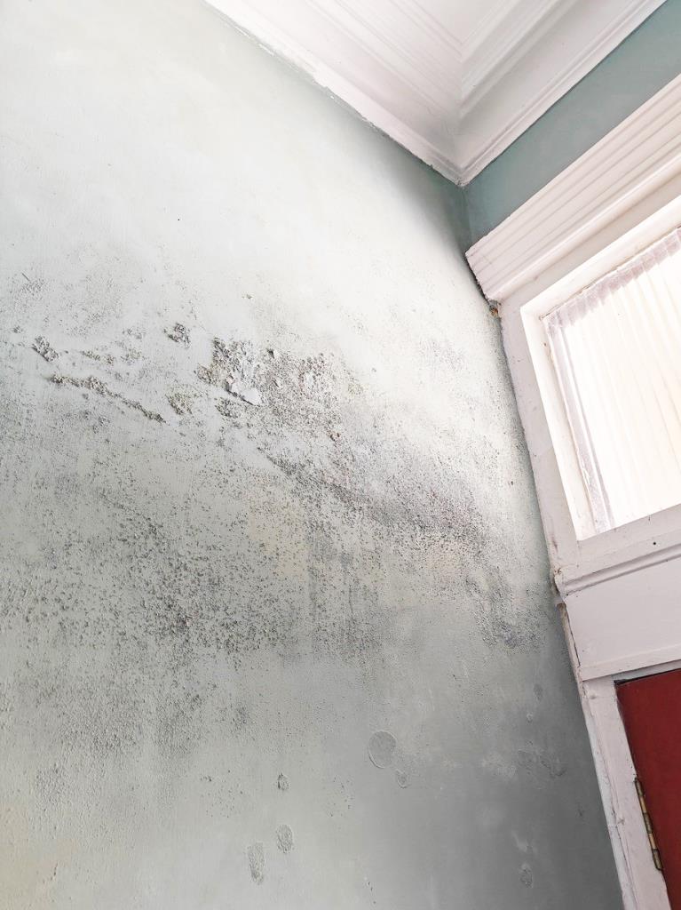 Lot: 13 - FOUR-BEDROOM MAISONETTE WITH SEA VIEWS - Damp wall with flaking paint
